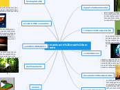 mapa conceptual