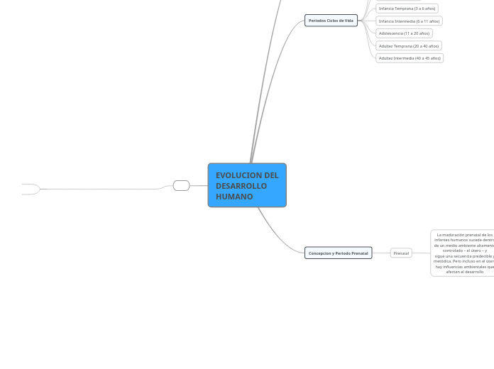 EVOLUCION DEL DESARROLLO HUMANO