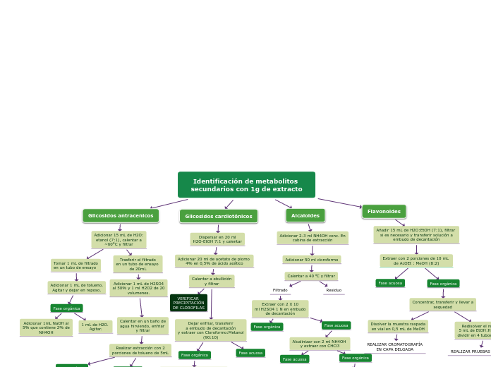 Identificación de metabolitos secundarios con 1g de extracto