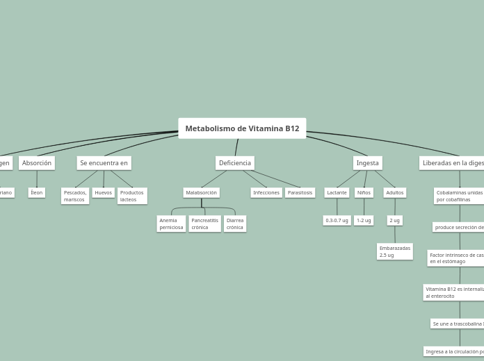 Metabolismo de Vitamina B12