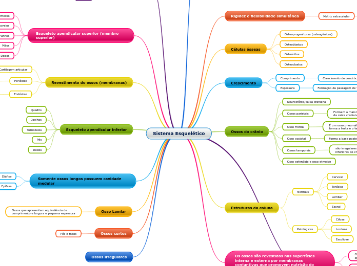 Sistema Esquelético