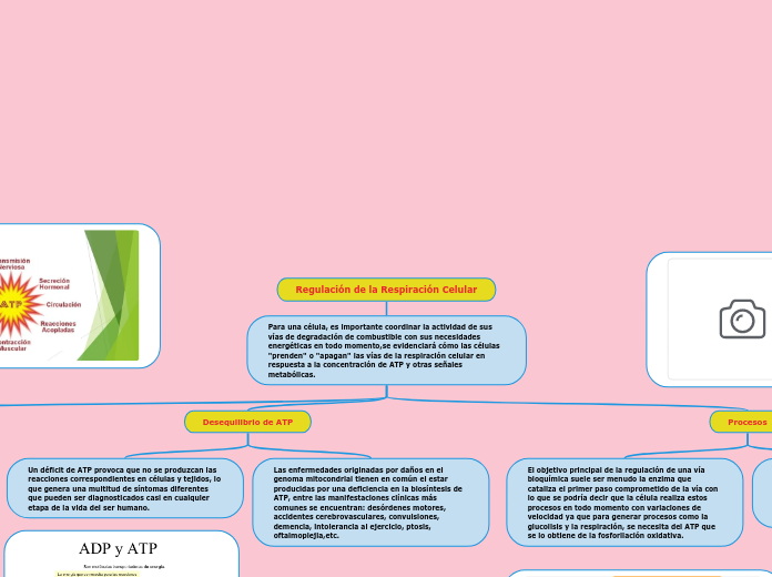 Regulación de la Respiración Celular