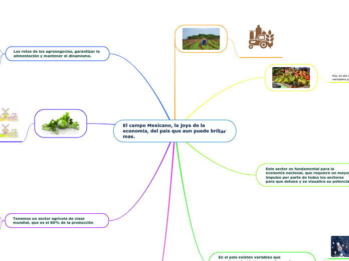 El campo Mexicano, la joya de la economía, del pais que aun puede brillar mas.