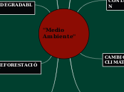 ''Medio Ambiente''