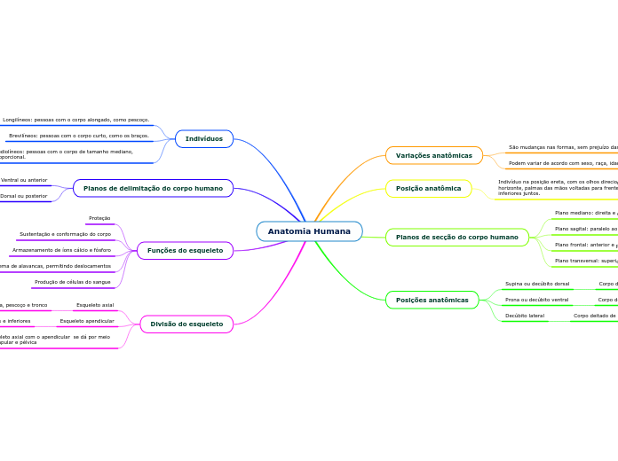 Anatomia Humana