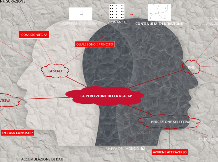 LA PERCEZIONE DELLA REALTA'