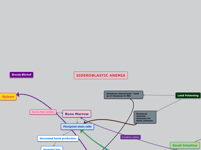 SIDEROBLASTIC ANEMIA