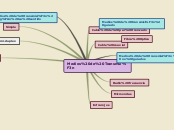 Sample Mind Map