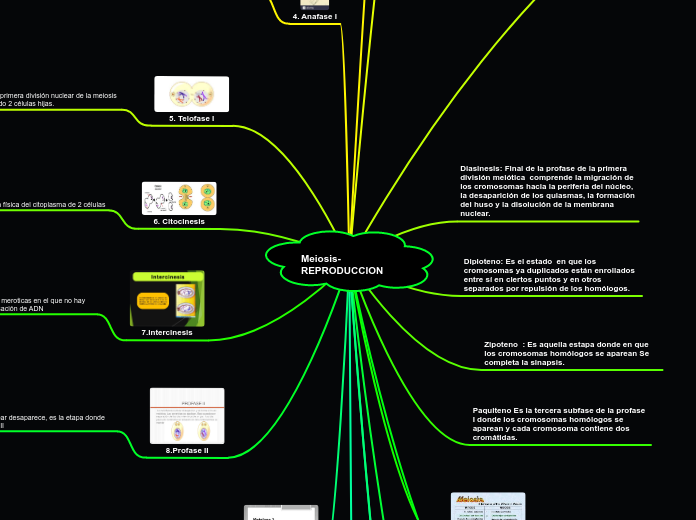 Meiosis-REPRODUCCION