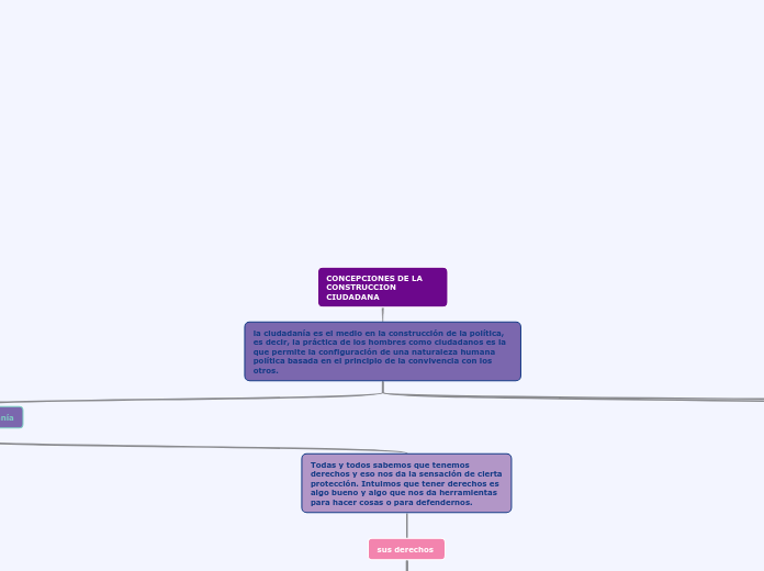 CONCEPCIONES DE LA CONSTRUCCION CIUDADANA