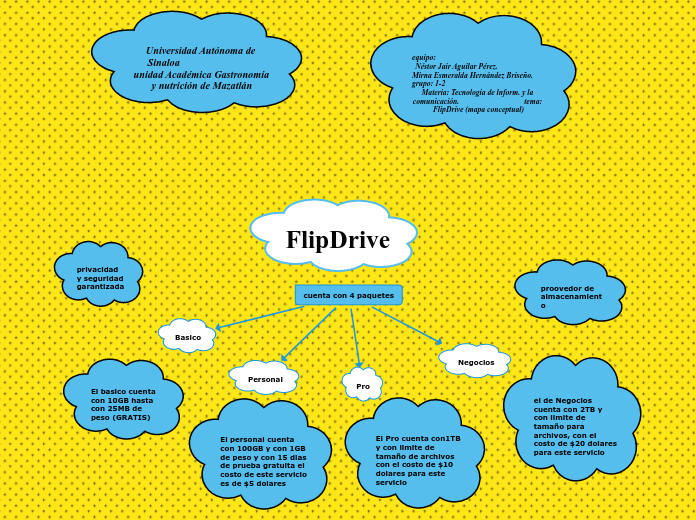 FlipDrive 