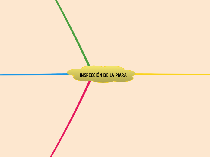 INSPECCIÓN DE LA PIARA