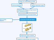 Sindrome Guillain-Barre