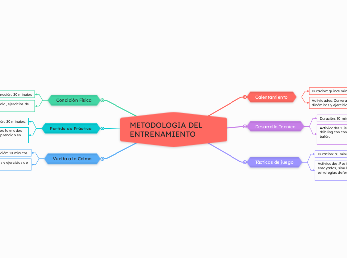 METODOLOGIA DEL ENTRENAMIENTO