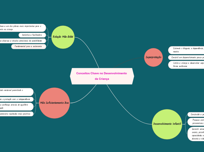 Conceitos Chave no Desenvolvimento da Criança