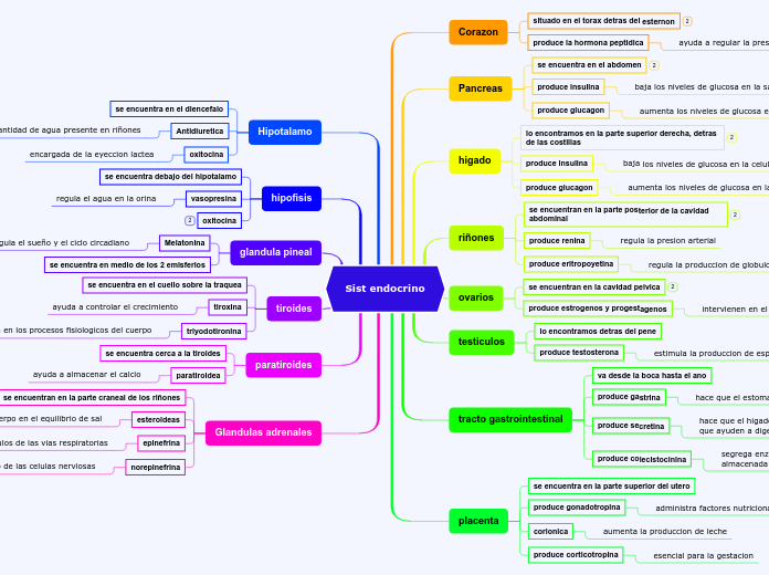Sist endocrino