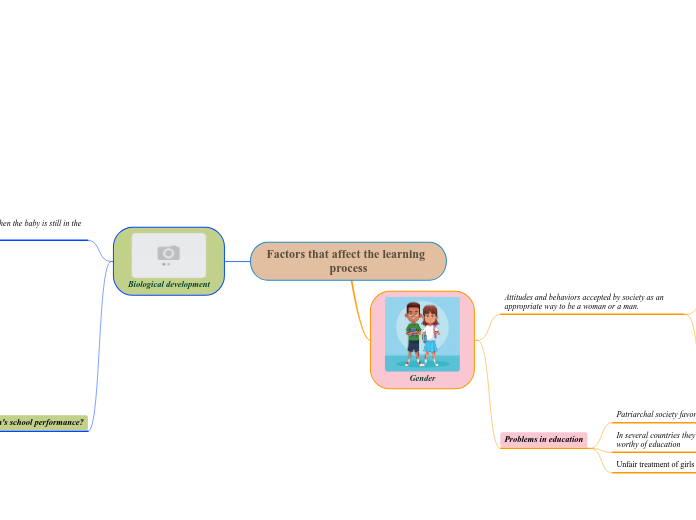 Factors that affect the learning          process