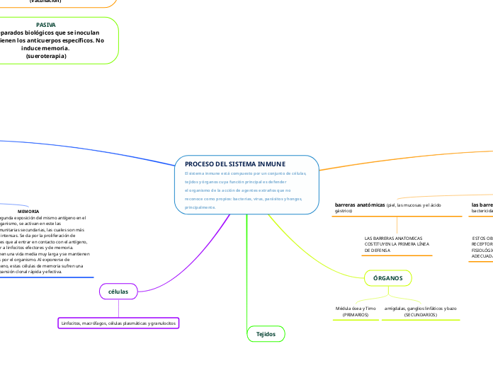 PROCESO DEL SISTEMA INMUNEEl sistema inmune está compuesto por un conjunto de células, tejidos y órganos cuya función principal es defenderel organismo de la acción de agentes extraños que no reconoce como propios: bacterias, virus, parásitos y h