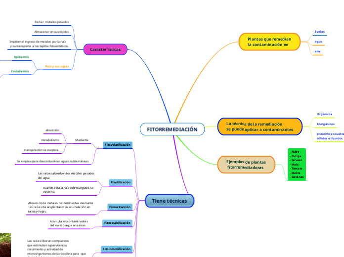 MAPA CONCEPTUAL TÉCNICAS DE FITORREMEDIACIÓN