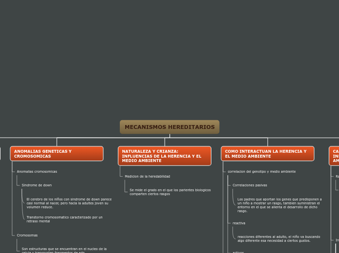 Organigrama arbol