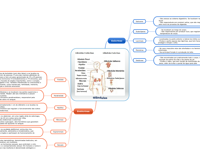 Glândulas
