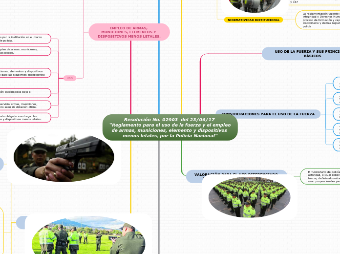 Resolución No. 02903  del 23/06/17 “Reglamento para el uso de la fuerza y el empleo de armas, municiones, elemento y dispositivos menos letales, por la Policía Nacional”