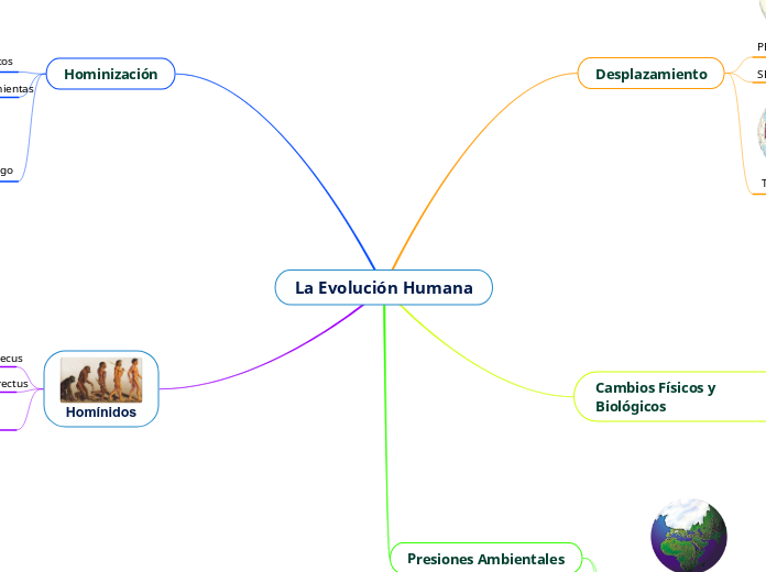 La Evolución Humana