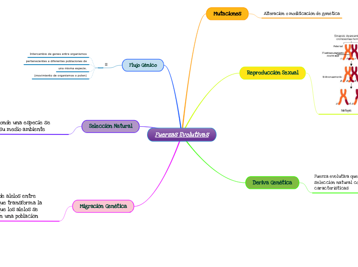 Fuerzas Evolutivas
