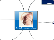 Uso de los mapas mentales