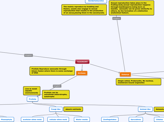 TAXONOMY