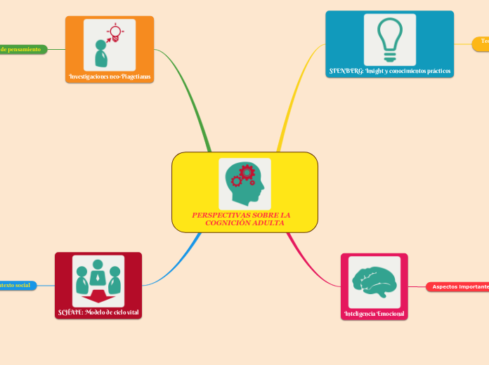 PERSPECTIVAS SOBRE LA    COGNICIÓN ADULTA