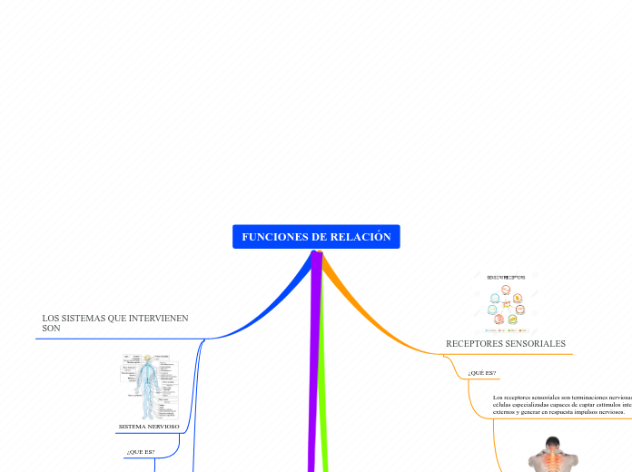 FUNCIONES DE RELACIÓN