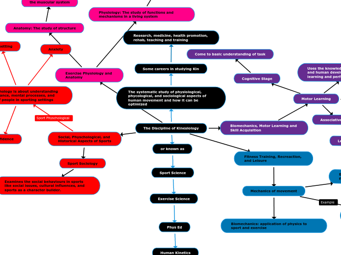 The Discipline of Kinesiology