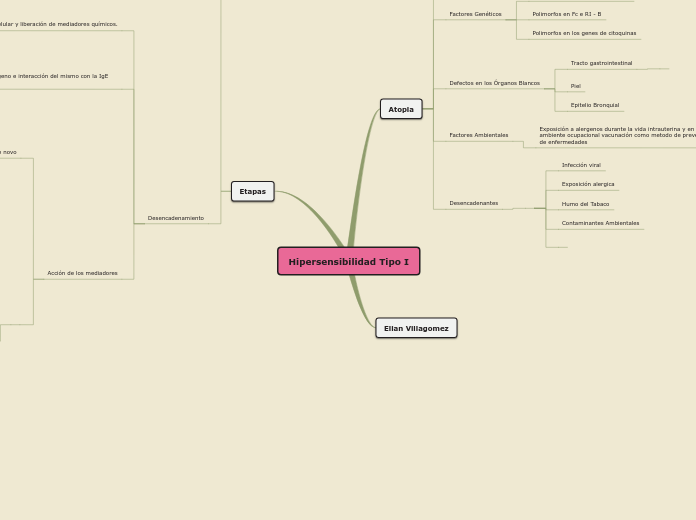 Sample Mind Map