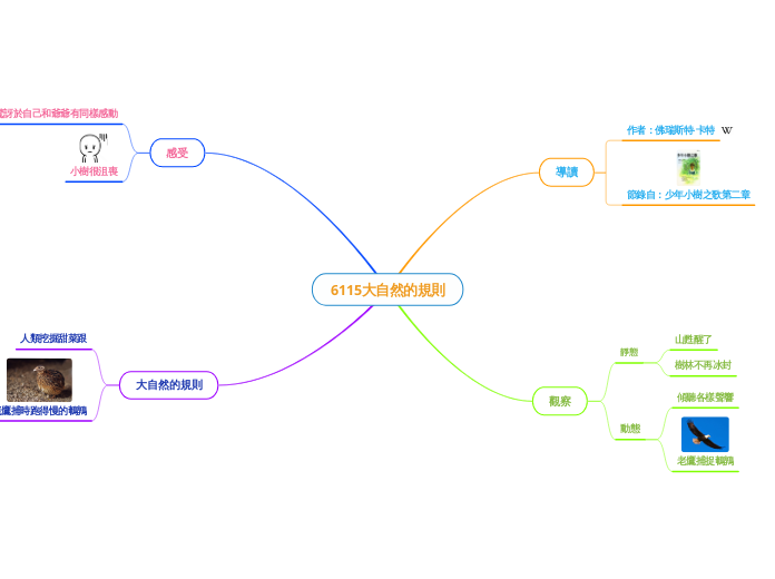 6115大自然的規則