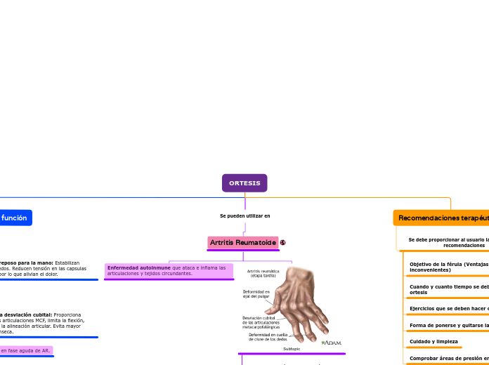 Organigrama arbol