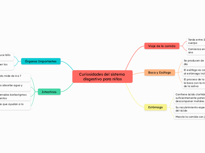 Curiosidades del sistema disgestivo para niños