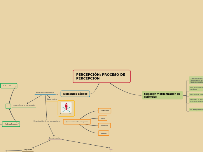 PERCEPCIÓN: PROCESO DE PERCEPCION