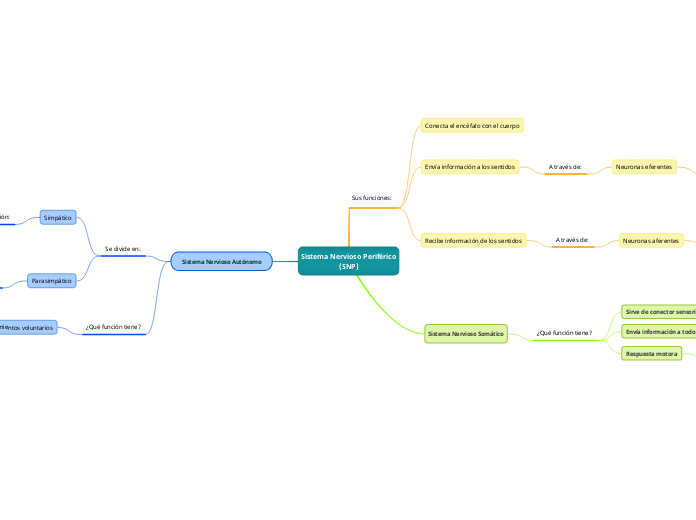 Sistema Nervioso Periférico
(SNP)