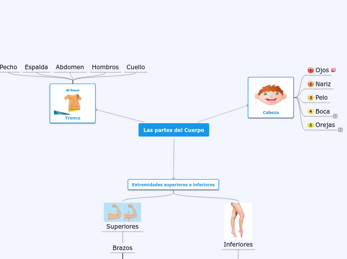 Las partes del Cuerpo