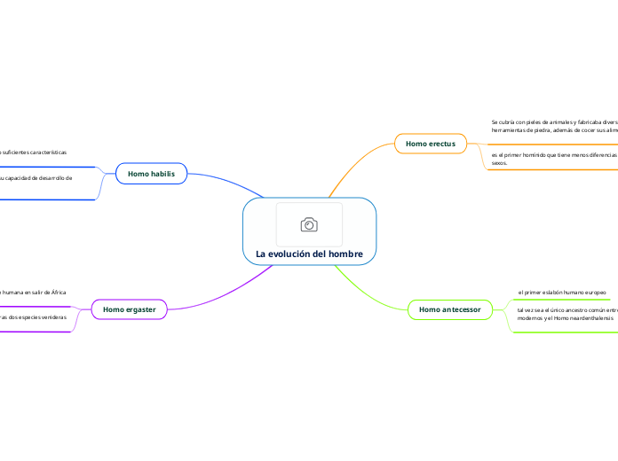 La evolución del hombre