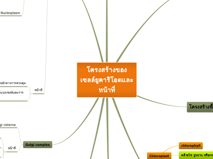 โครงสร้างของเซลล์ยูคาริโอตและหน้าที่