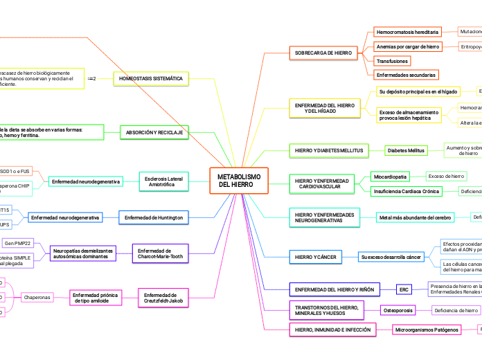 METABOLISMO
 DEL HIERRO