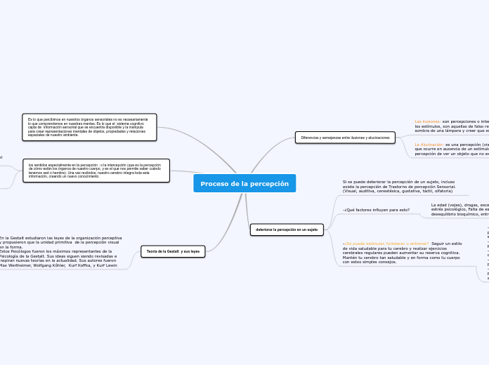 Proceso de la percepción