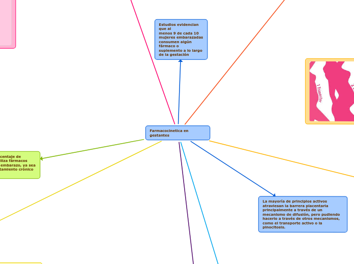 Farmacocinetica en gestantes