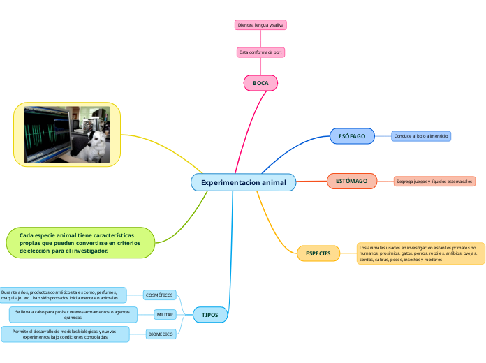 Experimentacion animal