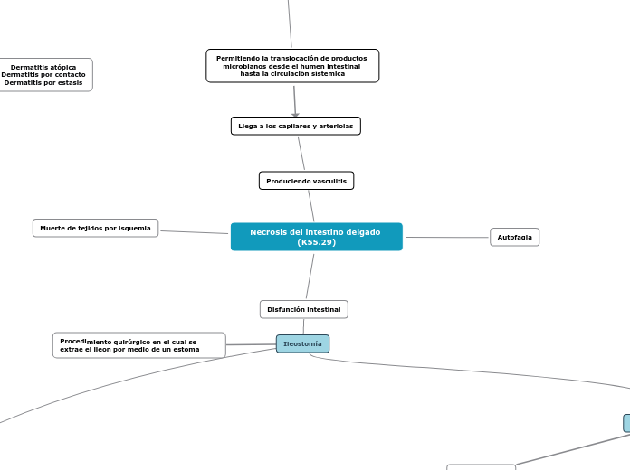 Necrosis del intestino delgado (K55.29)