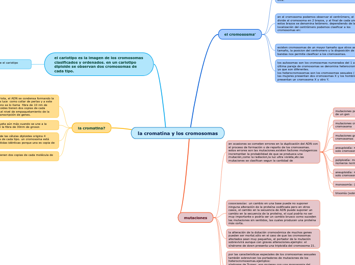 la cromatina y los cromosomas
