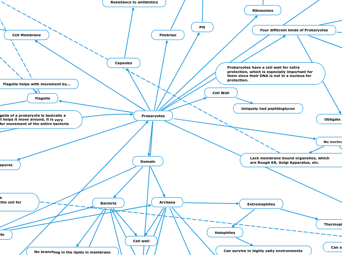 Cellular Structure and Functions