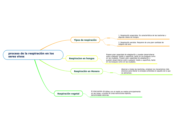 proceso de la respiración en los seres vivos